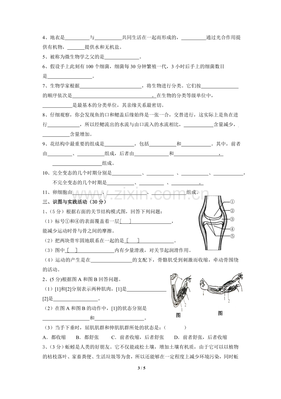 人教版八年级上册生物期末考试卷带答案.doc_第3页