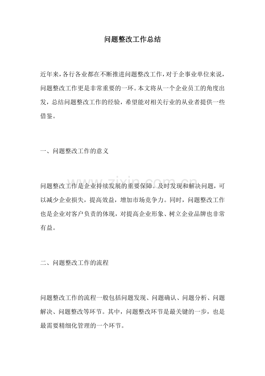 问题整改工作总结.docx_第1页