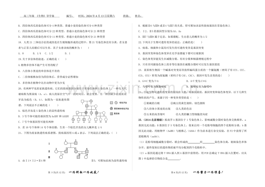 基因突变及其他变异-综合练习题.doc_第3页