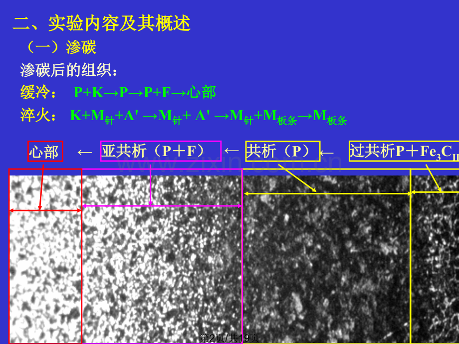 不同表面处理工艺后显微组织.pptx_第2页