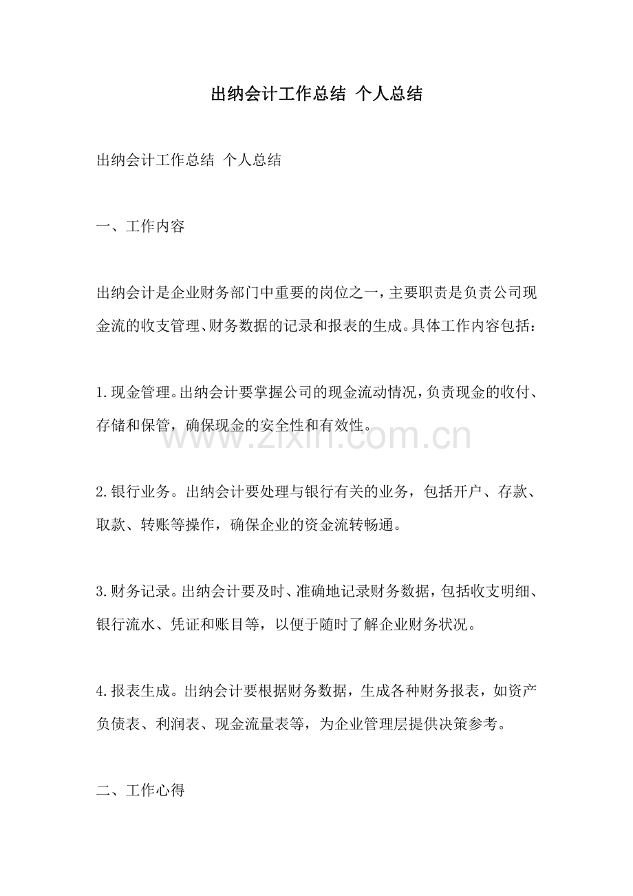 出纳会计工作总结 个人总结.pdf_第1页