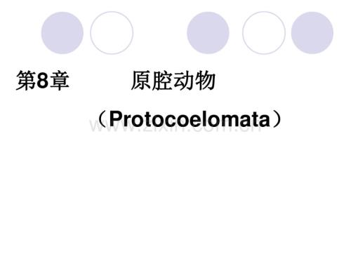 原腔动物Protocoelomata假体腔线形动物.pdf