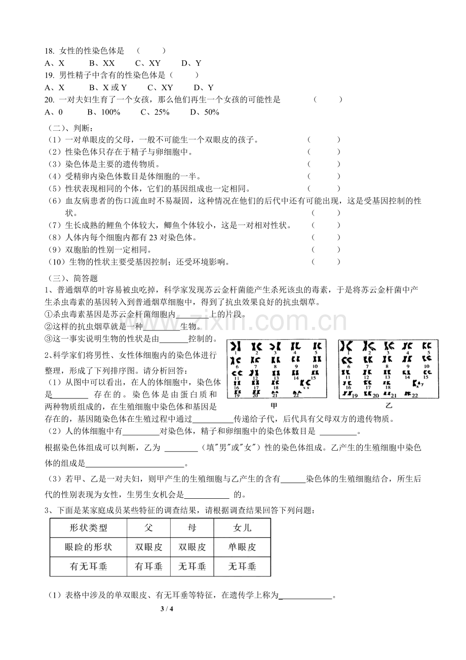 初中生物中考专题复习-遗传与变异.doc_第3页