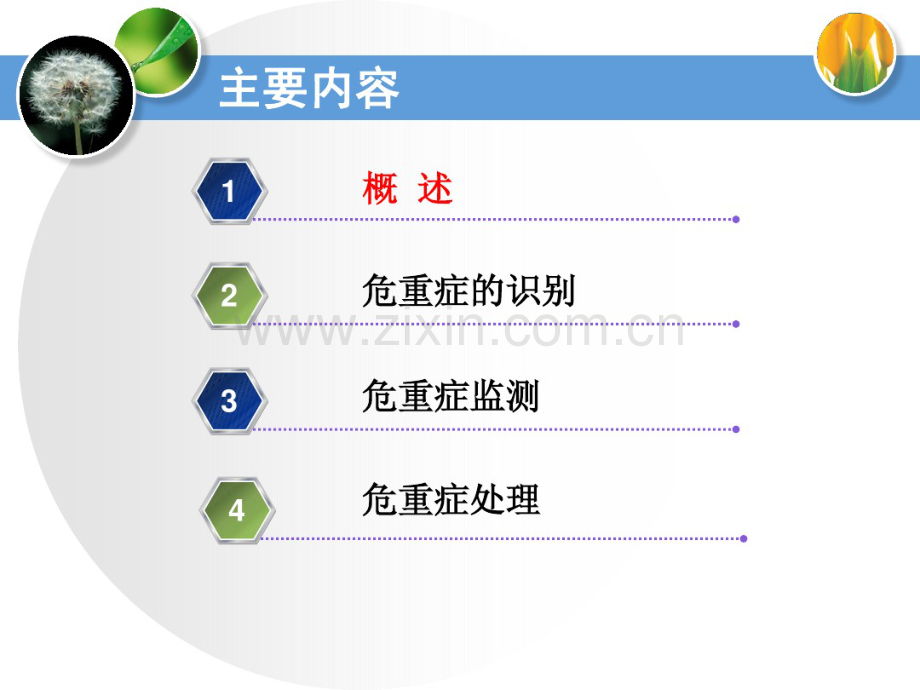 常见危重症的识别与处理技巧.pdf_第3页