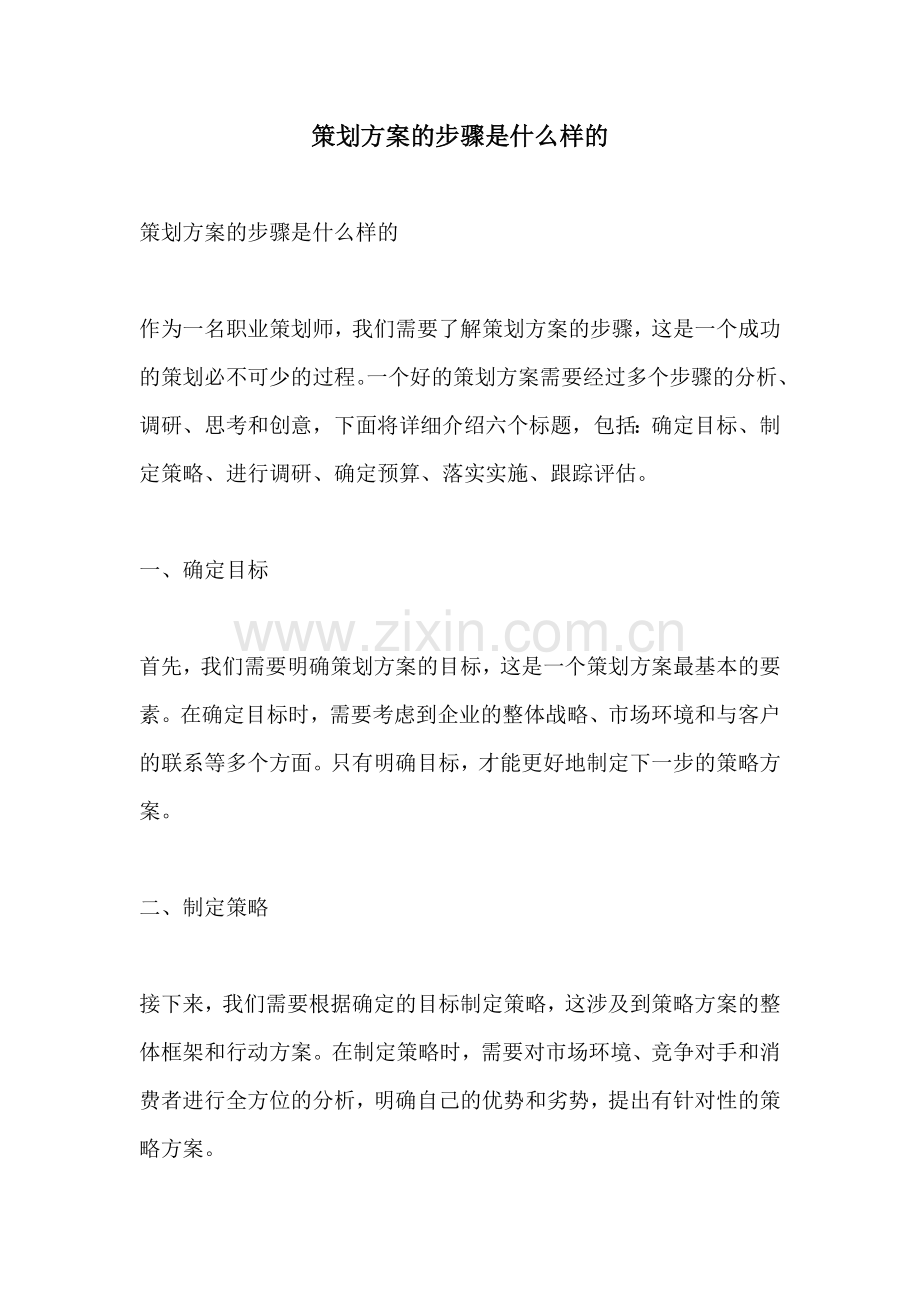 策划方案的步骤是什么样的.docx_第1页