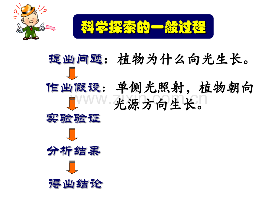 植物生长素的发现ppt.ppt_第2页