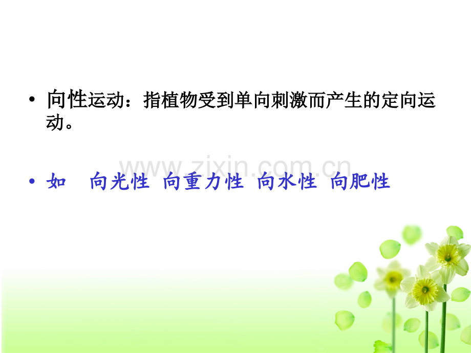 植物生长素的发现ppt.ppt_第3页