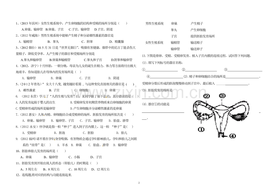 人的生殖导学案(1).doc_第2页