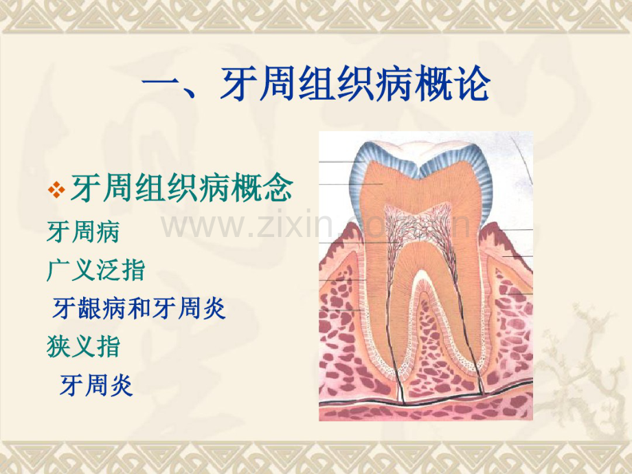 第12章牙周组织病.pdf_第2页