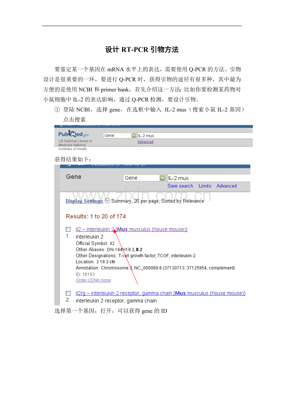 设计RT-PCR引物方法.doc_第1页