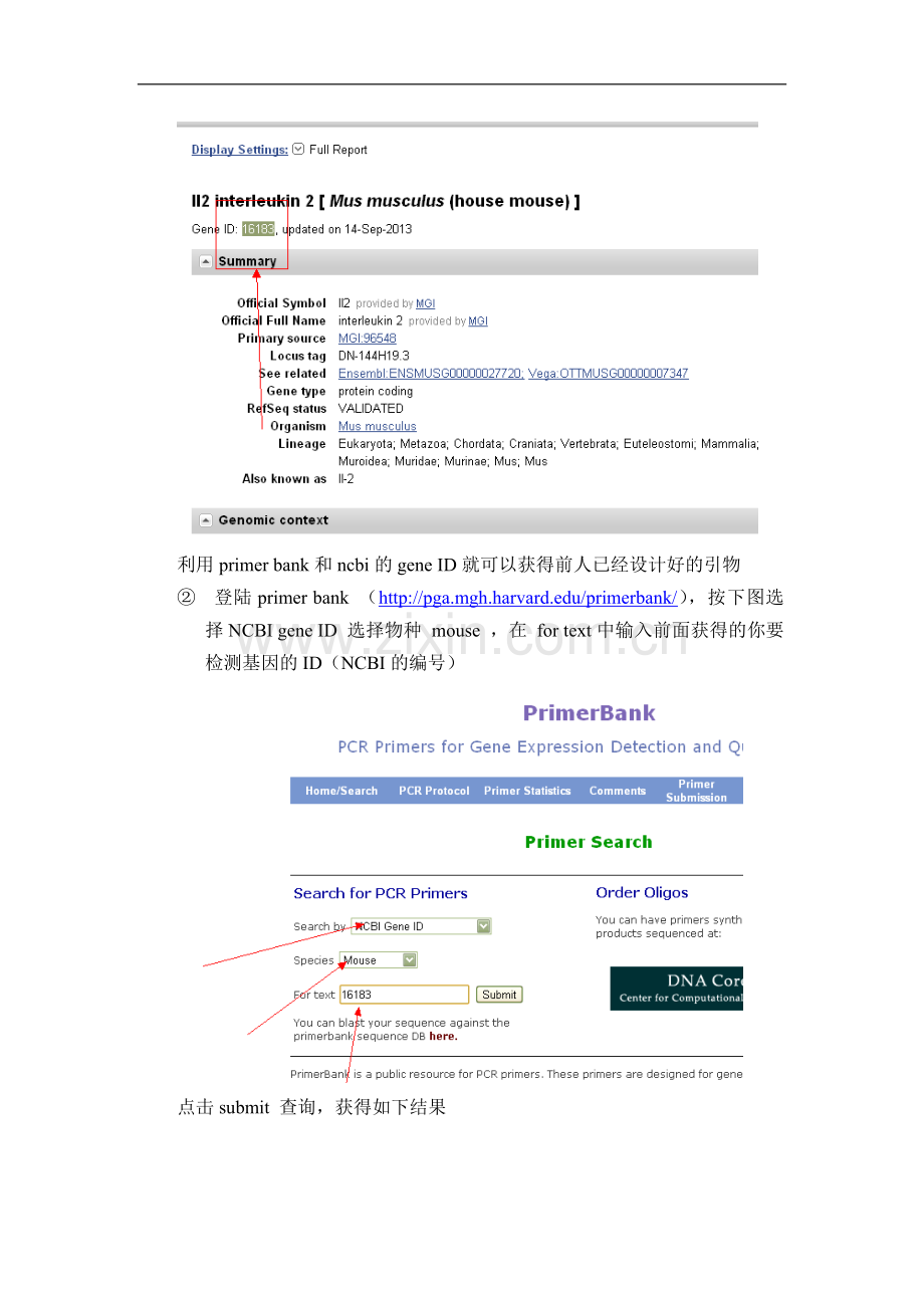 设计RT-PCR引物方法.doc_第2页