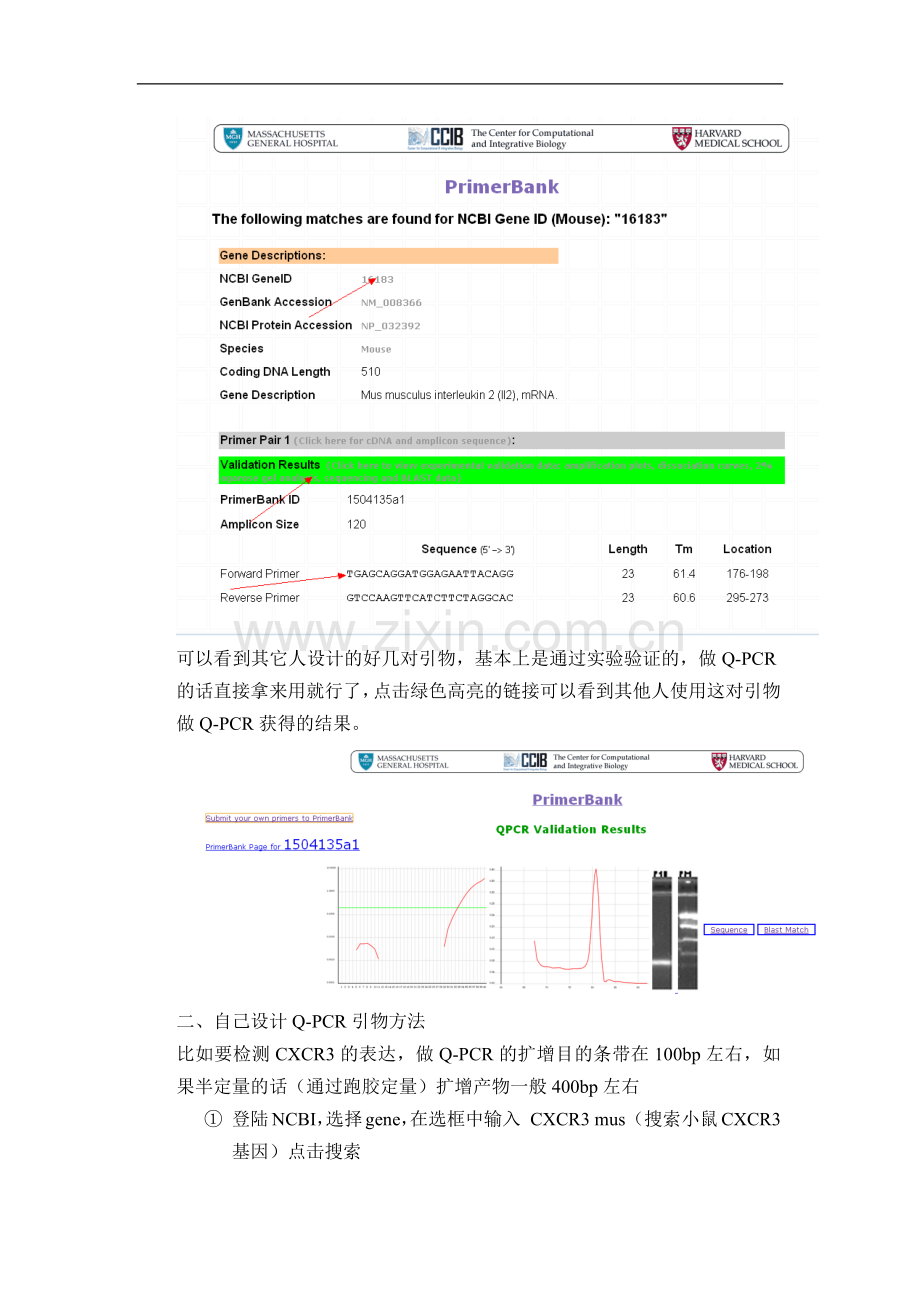 设计RT-PCR引物方法.doc_第3页