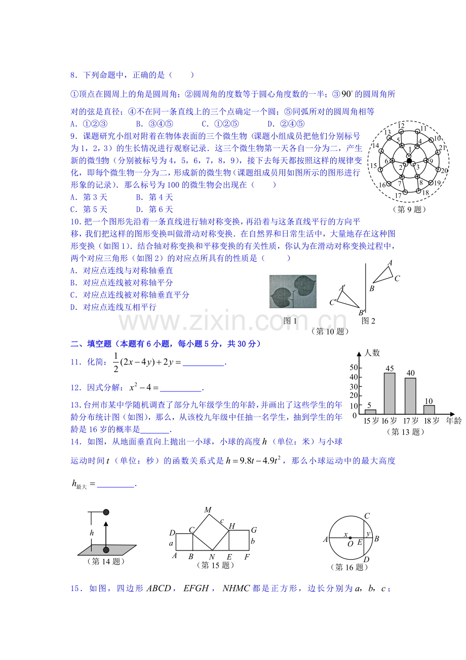 台州市中考数学模拟试题及答案.doc_第2页