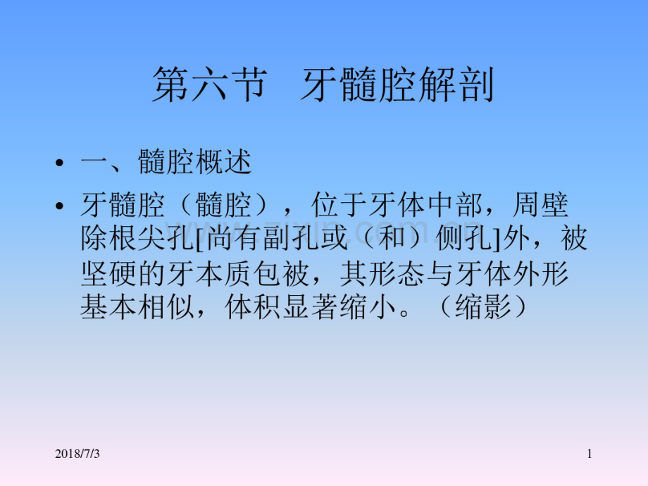 髓腔解剖.pdf_第1页