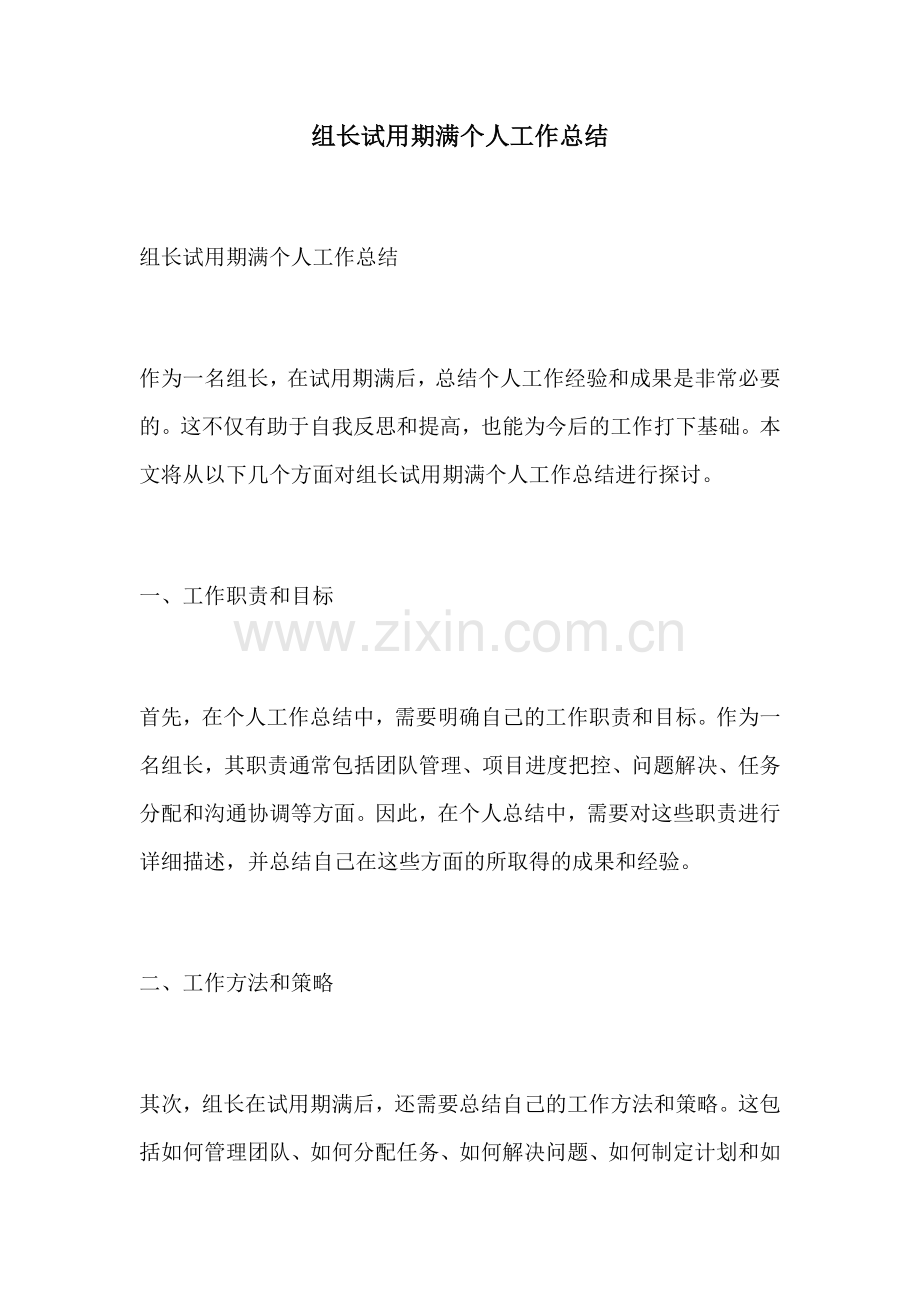 组长试用期满个人工作总结.docx_第1页