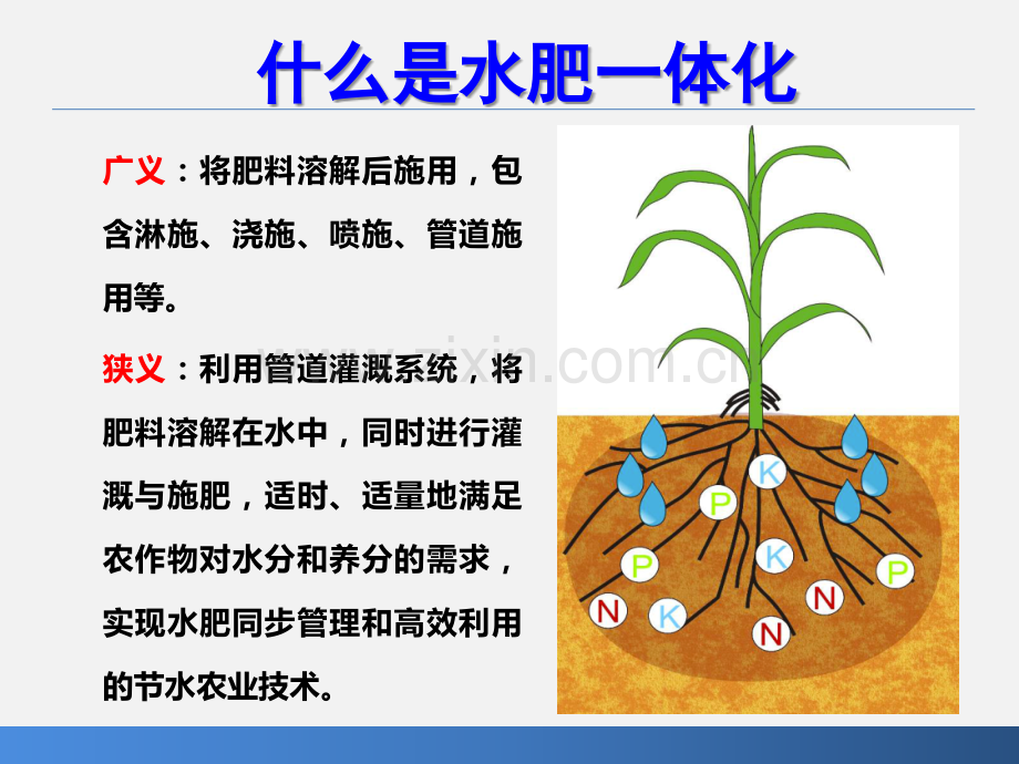 水肥一体化技术(稿).ppt_第2页