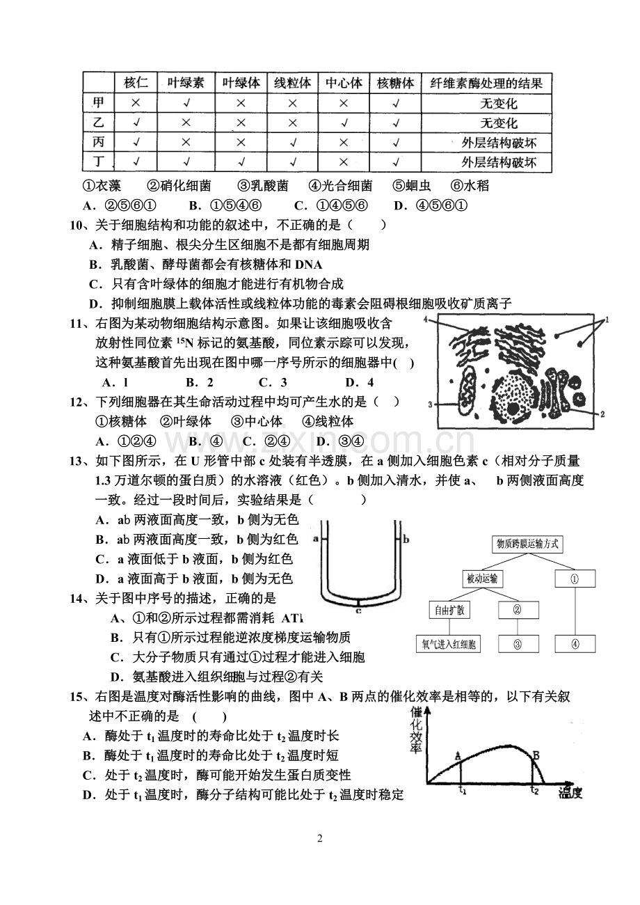 高一生物期末考试题及答案.doc_第2页