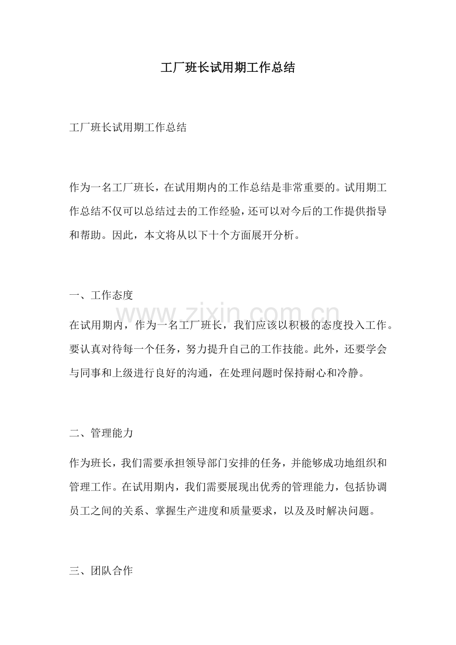 工厂班长试用期工作总结.docx_第1页