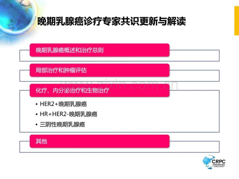 中国晚期乳腺癌诊疗专家共识2019更新及解读图文.pptx_第3页