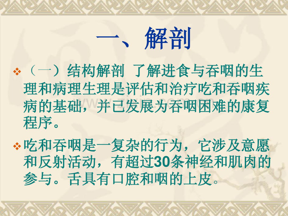 进食和吞咽解剖和生理以及神经控制.pdf_第3页