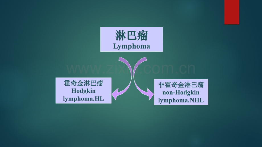 淋巴瘤2018.12.24.ppt_第3页