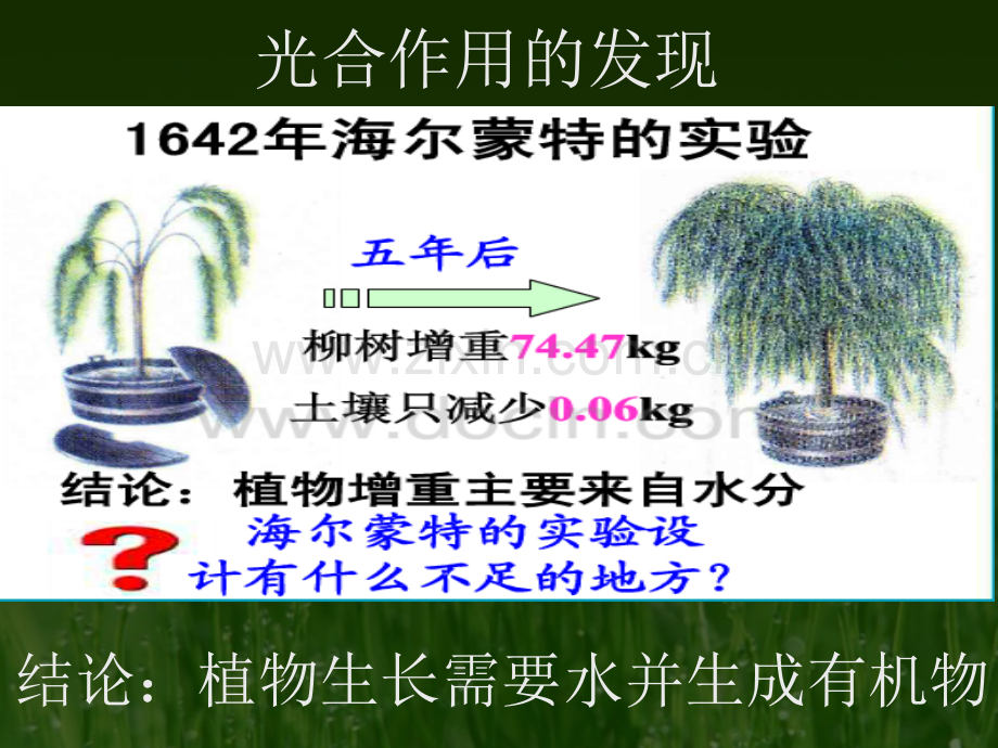 初一生物绿色植物的光合作用.pptx_第2页