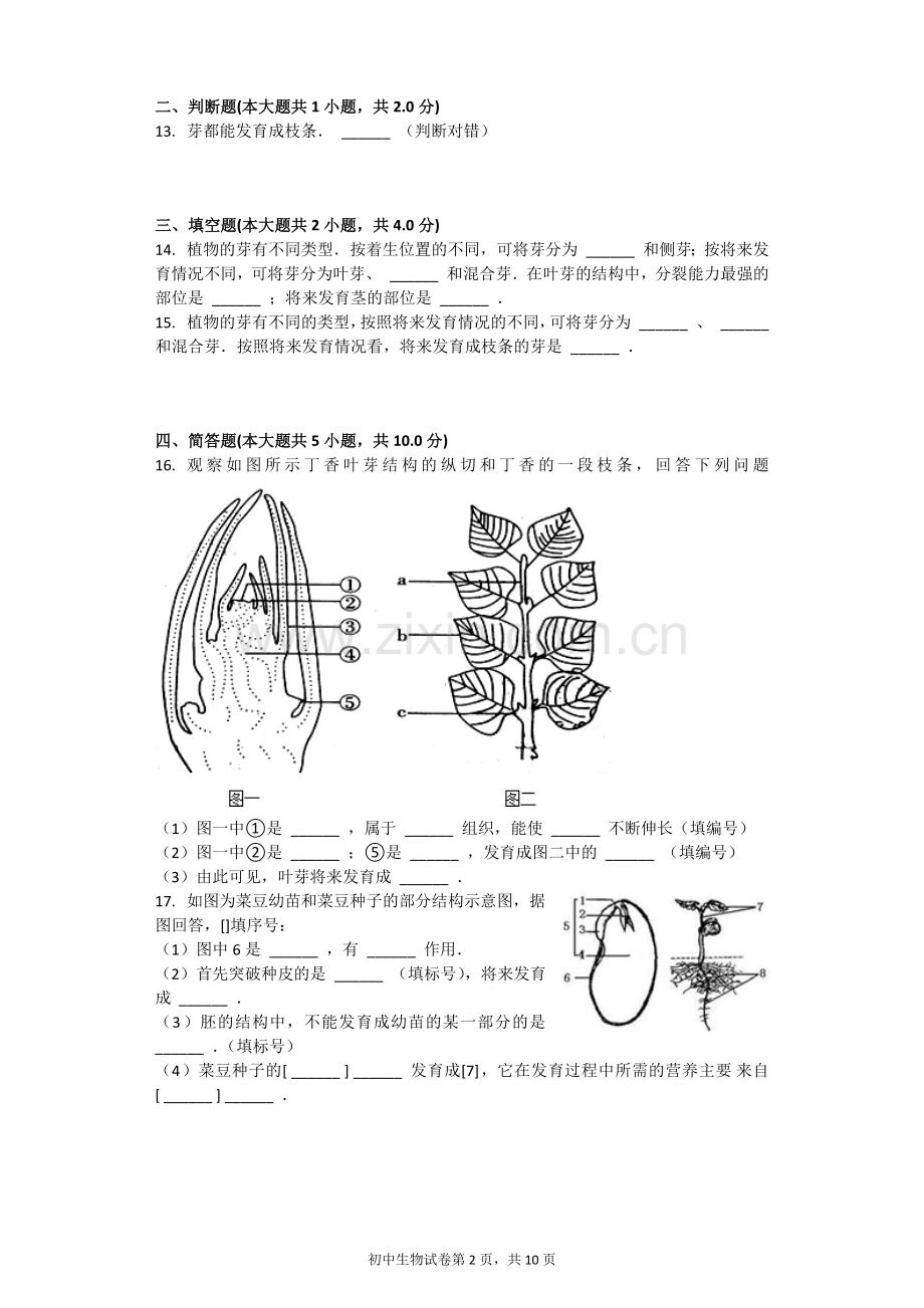 芽的发育-习题(含答案).docx_第2页