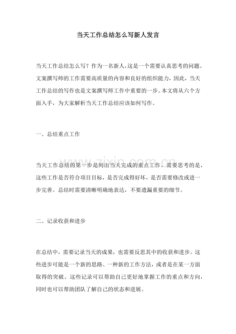 当天工作总结怎么写新人发言.docx_第1页