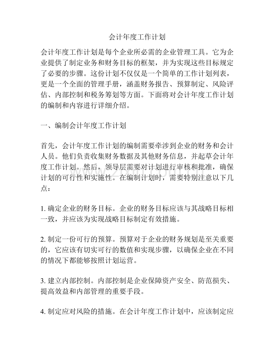 会计年度工作计划.docx_第1页