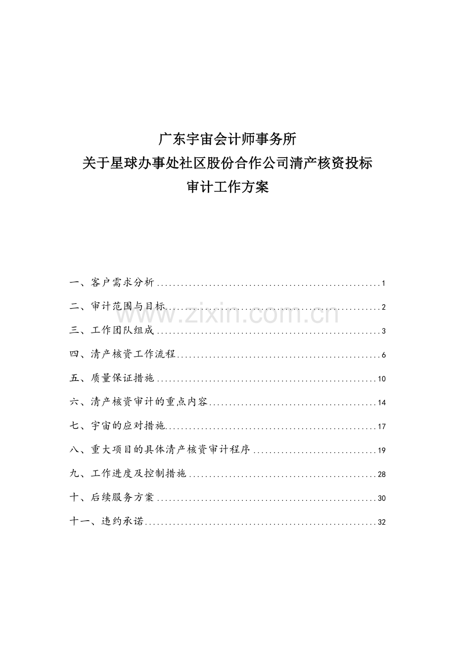 清产核资投标用审计工作方案.doc_第1页