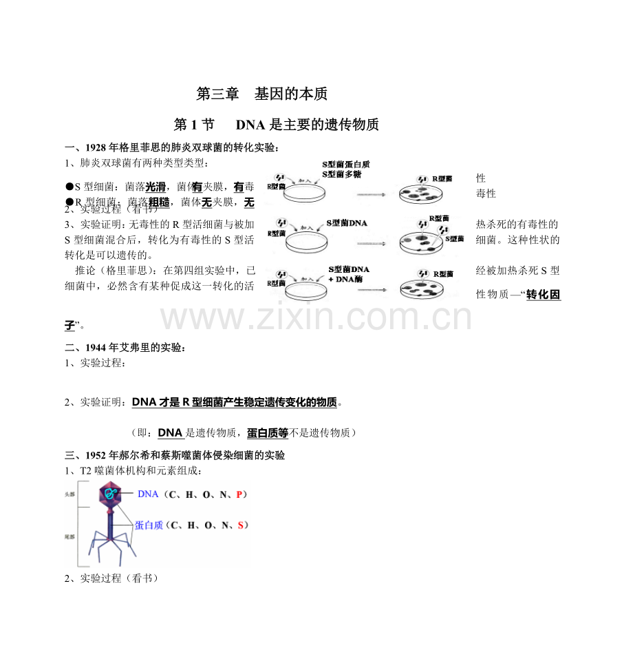 高中生物必修2第三章知识点总结.doc_第1页