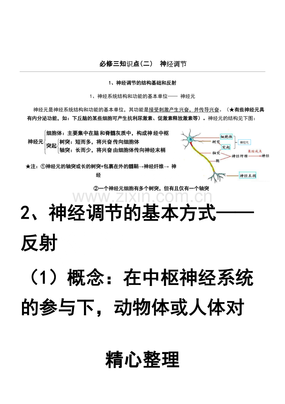 神经调节知识点.pdf_第1页