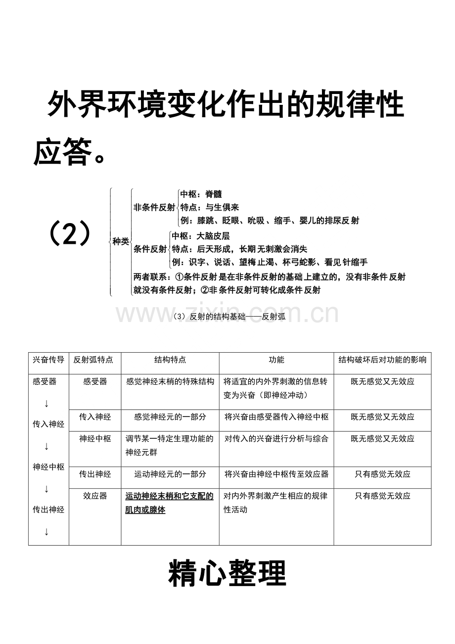 神经调节知识点.pdf_第2页