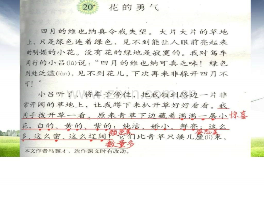 人教版小学四级语文下册花的勇气.pptx_第3页