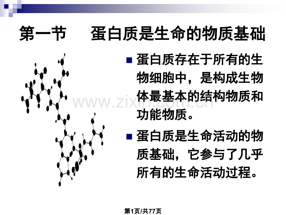 2蛋白质化学.pptx_第1页