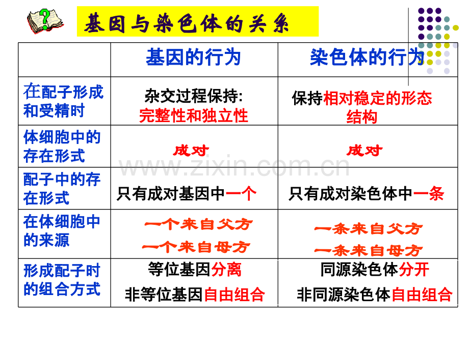 基因在染色体上(2016年公开课)模板.ppt_第3页