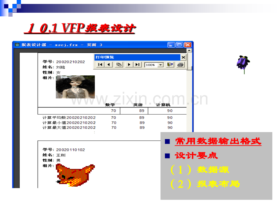 报表和菜单设计(ppt文档).ppt_第2页