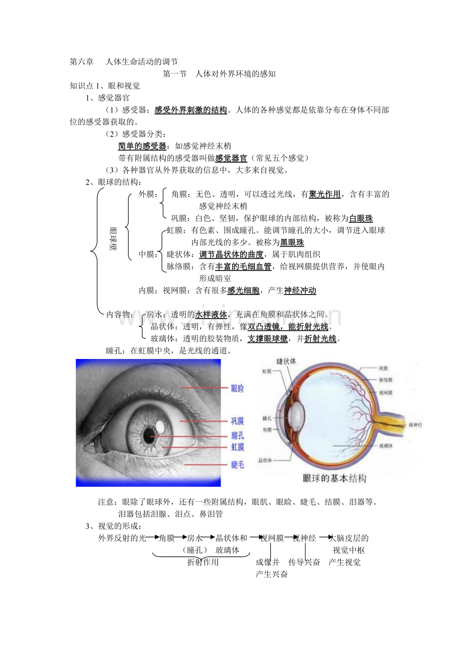 人体生命活动的调节知识点提纲.pdf_第1页