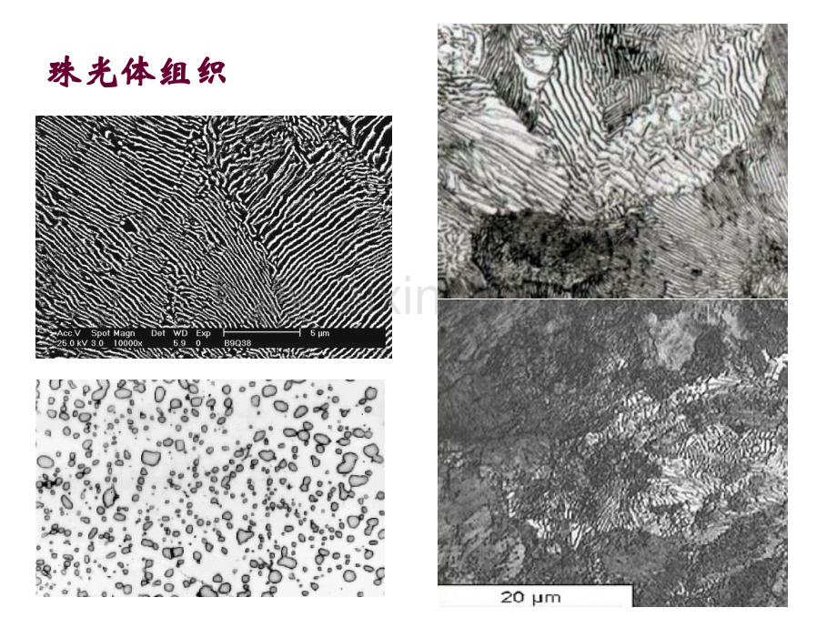 固态相变中的各种组织.pptx_第2页