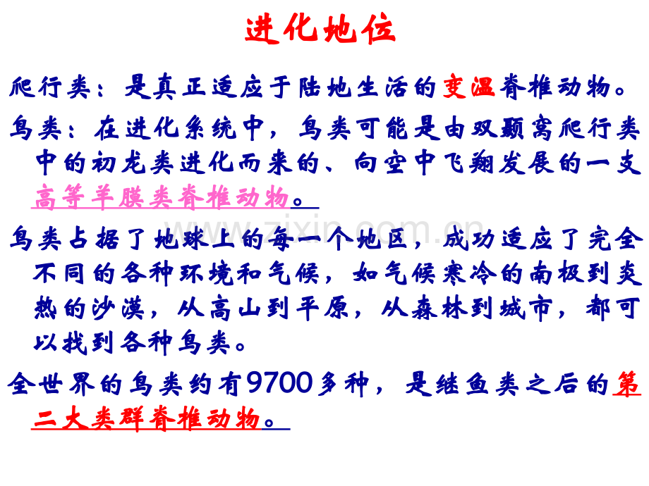 动物生物学鸟纲包括详细分类.pptx_第2页