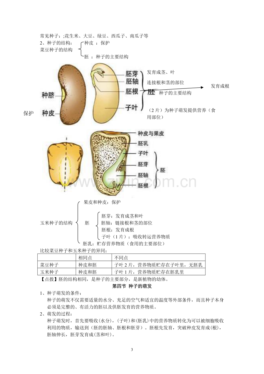 济南版初二生物上册知识点汇总.pdf_第3页