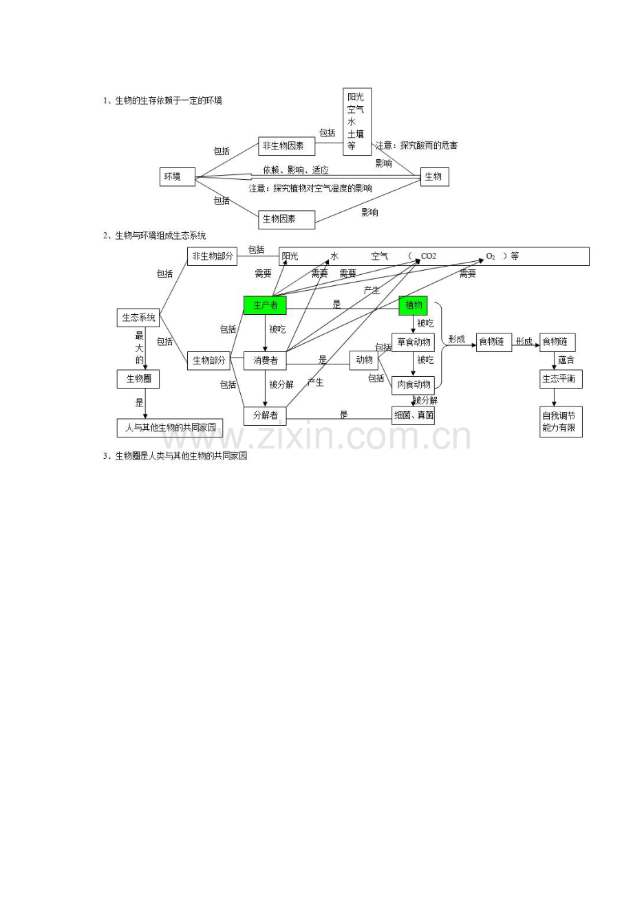 初中生物知识点梳理——思维导图.doc_第3页