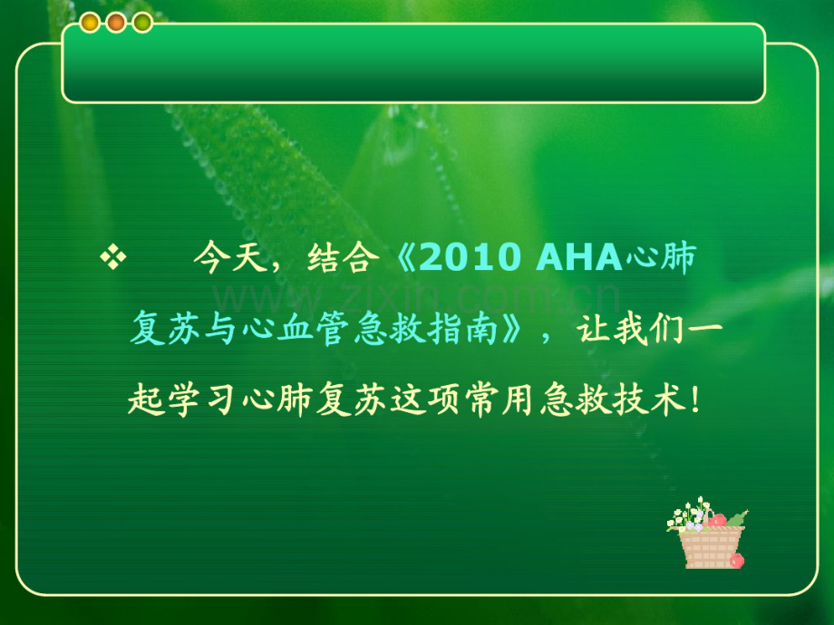 基础生命支持.pdf_第2页