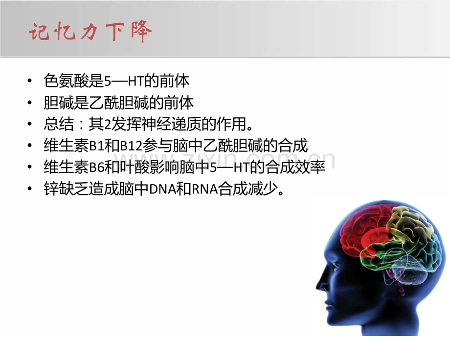 常见慢性疾病和营养的关系.pptx_第1页