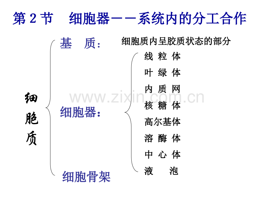 细胞器第一轮复习.pptx_第2页