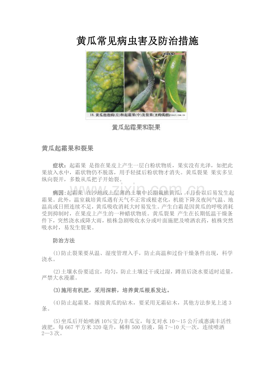 黄瓜常见病虫害及防治措施.doc_第1页