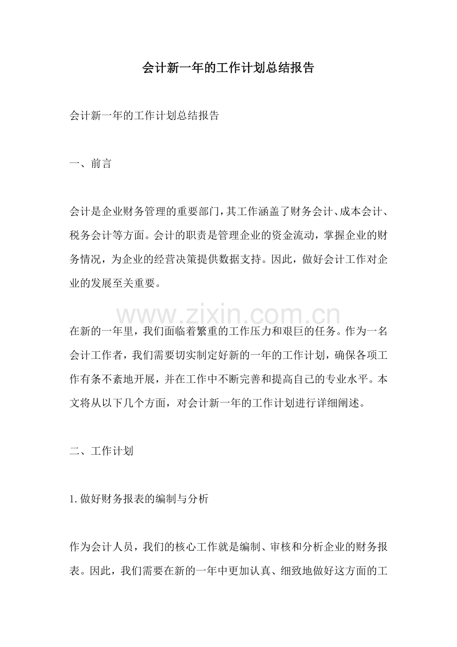 会计新一年的工作计划总结报告.docx_第1页