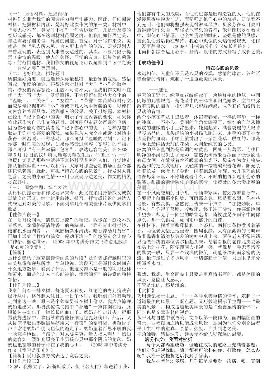 中考满分作文赏析与借鉴.pdf_第2页