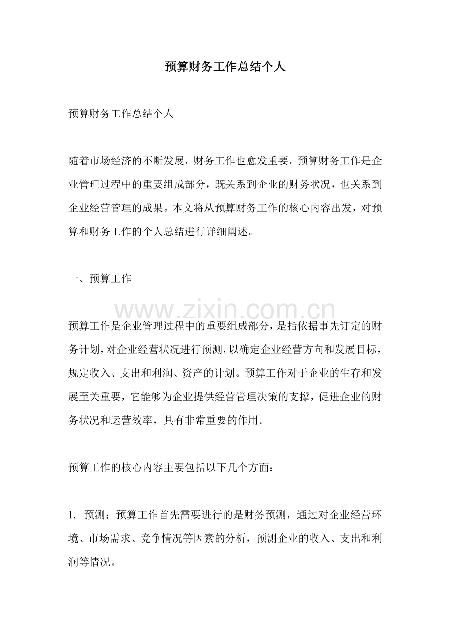 预算财务工作总结个人.pdf_第1页