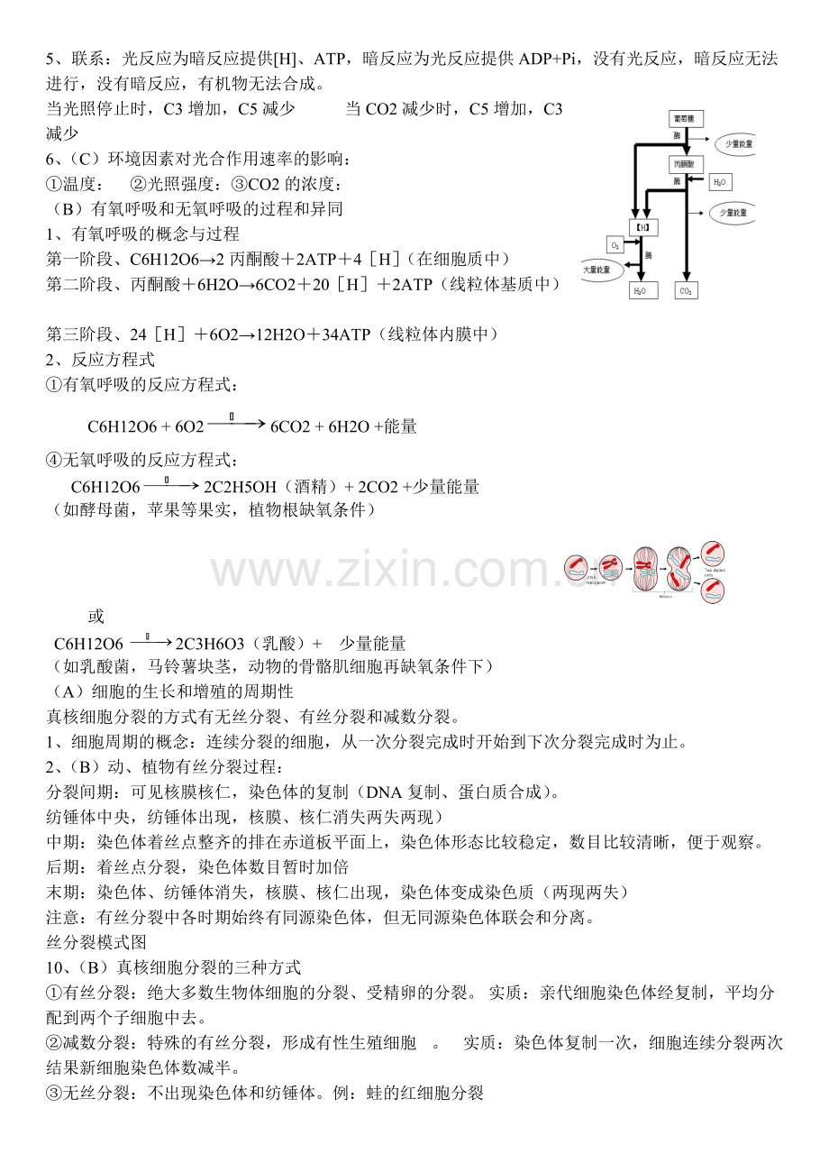 高中生物知识点总结2017.pdf_第3页